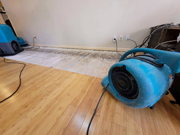 Professional Structural Drying technician working in Cameron, TX